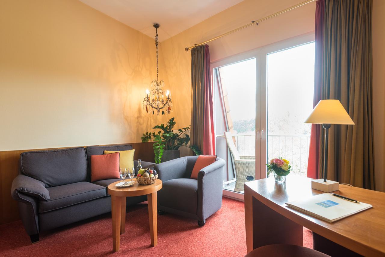 Hotel Heinz Höhr-Grenzhausen Værelse billede